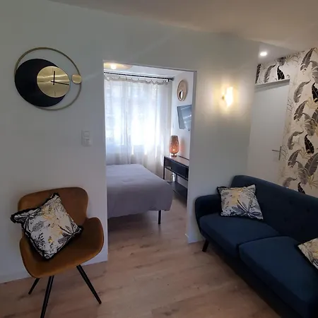 Joli Appart 2 Chambres En Centre Ville - Parking Et Jardin Albi Exterior photo